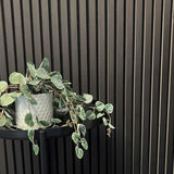 Slat Wall Panel - Black 600x600mm Single - Floors To Walls