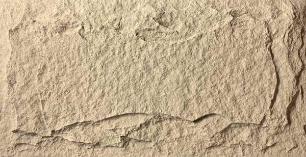 Stone Panel - Gold Hemp - Floors To Walls